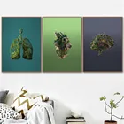 Абстрактный Органы мозг сердца легких диагностический инструмент холст картины Анатомия человека винтажный настенный плакат художественный принт изображением медицины доктор офисный Декор