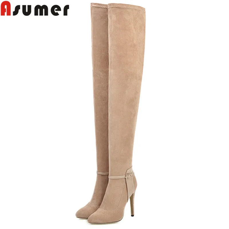 Женские ботфорты с острым носком без застежки на осень/зиму|Ботфорты| |