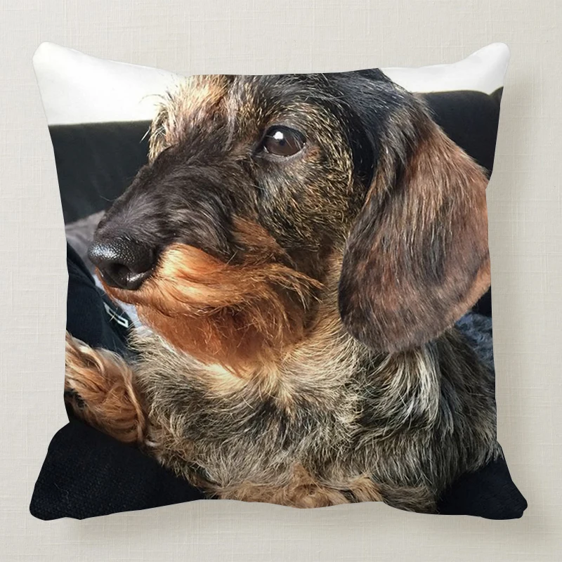 1 шт. 45*45 см милая собака подушка чехол Wirehaired подушки с таксой диван кровать автомобиль подушка чехол Спальня украшение в виде таксы Подушка бухта