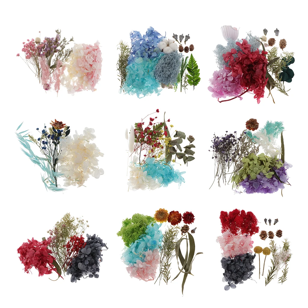 

Natural Pressed Real Flower Leaves For Nail Art Body Face Make Up DIY Art