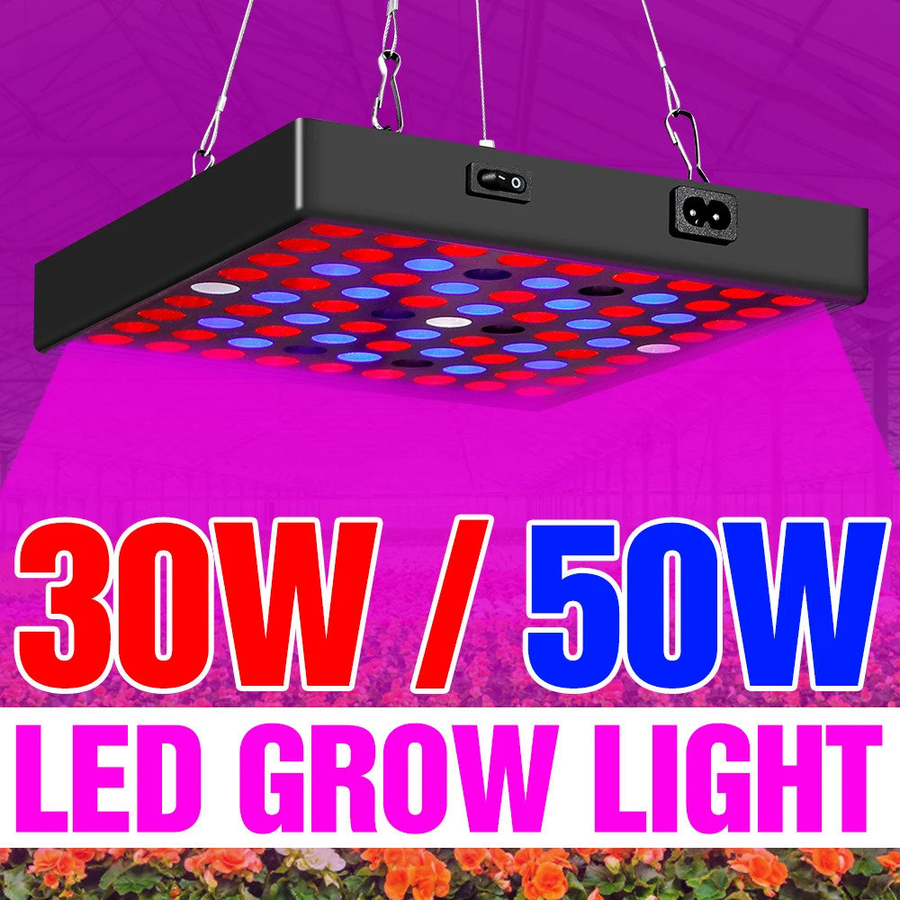 

220V LED Grow Light LED Phyto Lamp 30W 50W Full Spectrum Lampara LED Hydroponic Plant Seeds Bulb Greenhouse Growth Tent Bombilla
