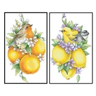 Наборы для вышивки крестиком с принтом фруктов и птиц, наборы для вышивки тканью 11CT 14CT сделай сам, картины для рукоделия