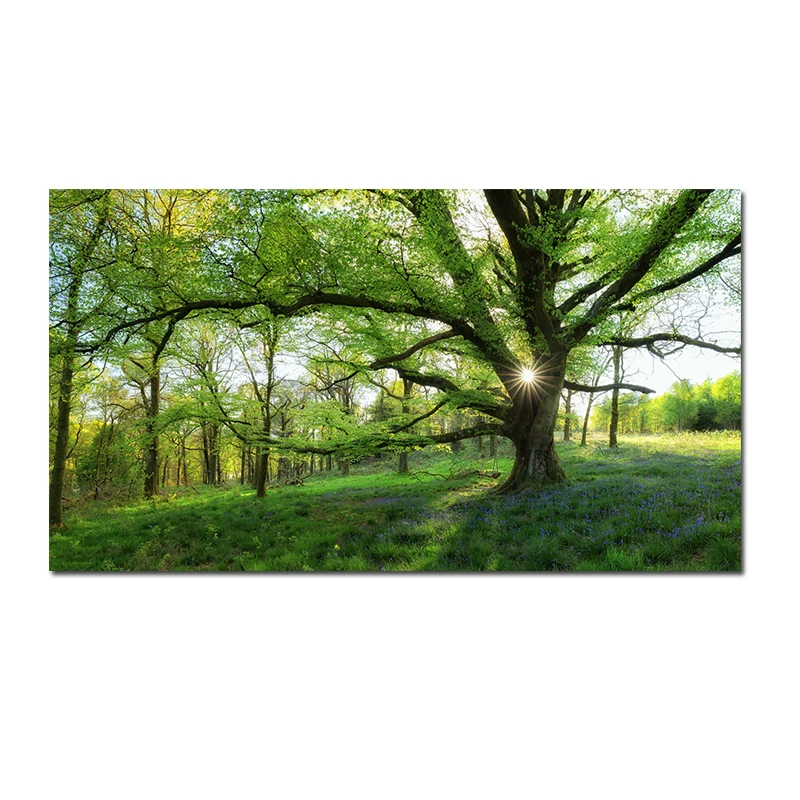 

Canvas Painting Green Forest Landscape Posters and Prints Wall Art Trees Pictures for Living Room HomeDecor Frameless