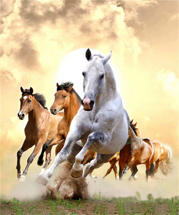 Алмазная живопись &quotсделай сам&quot 5d небеса и земля закат облака риш лошади смола