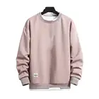 Мужские свитера с круглым вырезом и длинным рукавом, свободный простой двухслойный Повседневный пуловер, Мужская толстовка, весна-осень