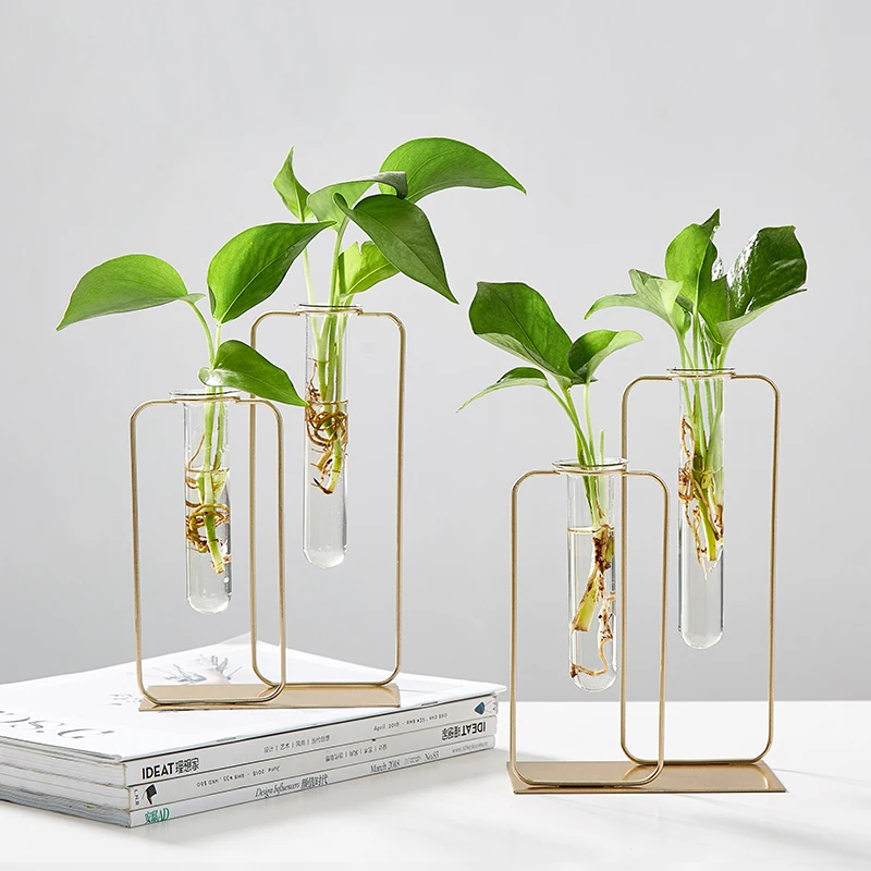 

interior Terrarium Iron Line glass vase home decoration accessories Nordic Hydroponic Plant Vase Office Desktop Modern