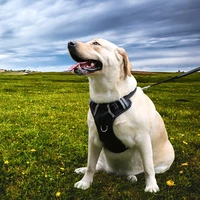 pet product personalize dog harness leash nylon breathable adjustable 3m reflective safe vest collar for large medium bulldog