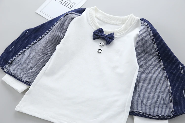 2018 г. Новая Осенняя детская одежда Комплекты для мальчиков комплект из 2