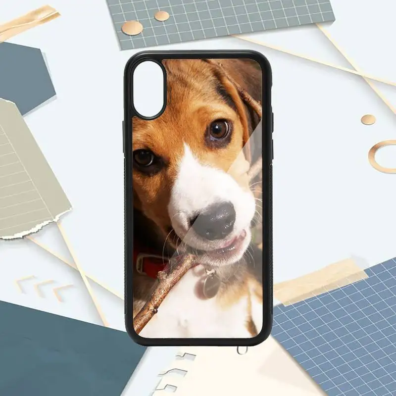 

Beagle Dog animal cute Phone Case PC for iPhone 11 12 pro XS MAX 8 7 6 6S Plus X 5S SE 2020 XR