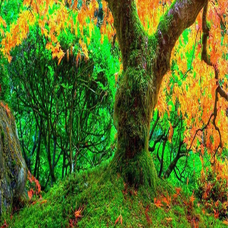 Фото обои 3D Красочные Дерево пейзаж росписи гостиной ванной самоклеющиеся