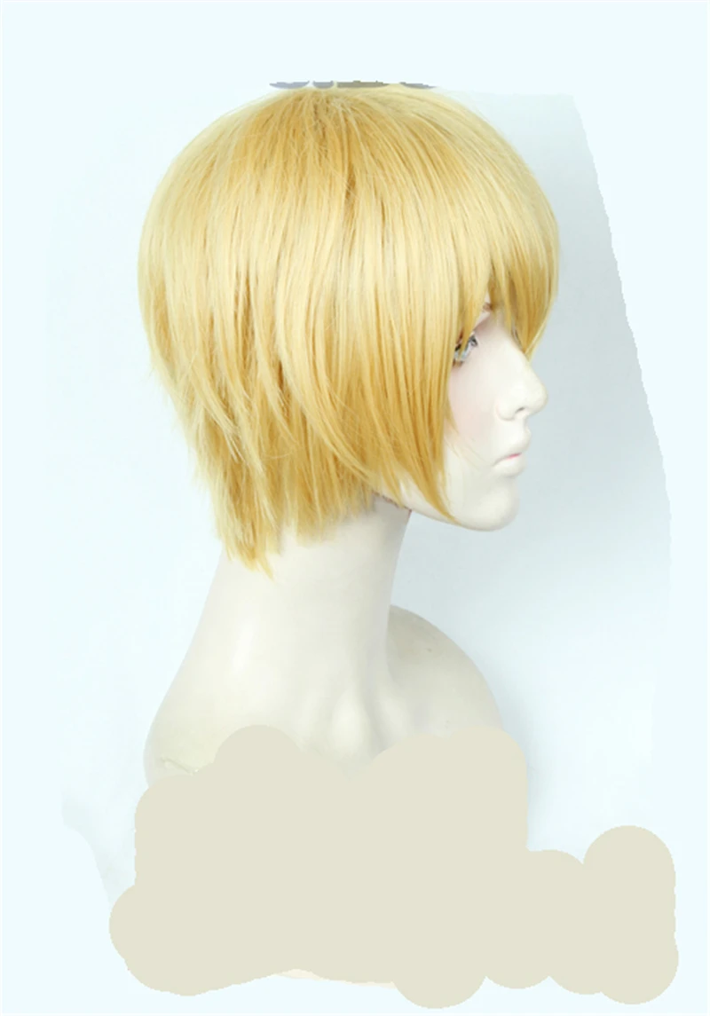 Японское аниме гиганеш Fate/Zero Wig термостойкие синтетические волосы косплей костюм