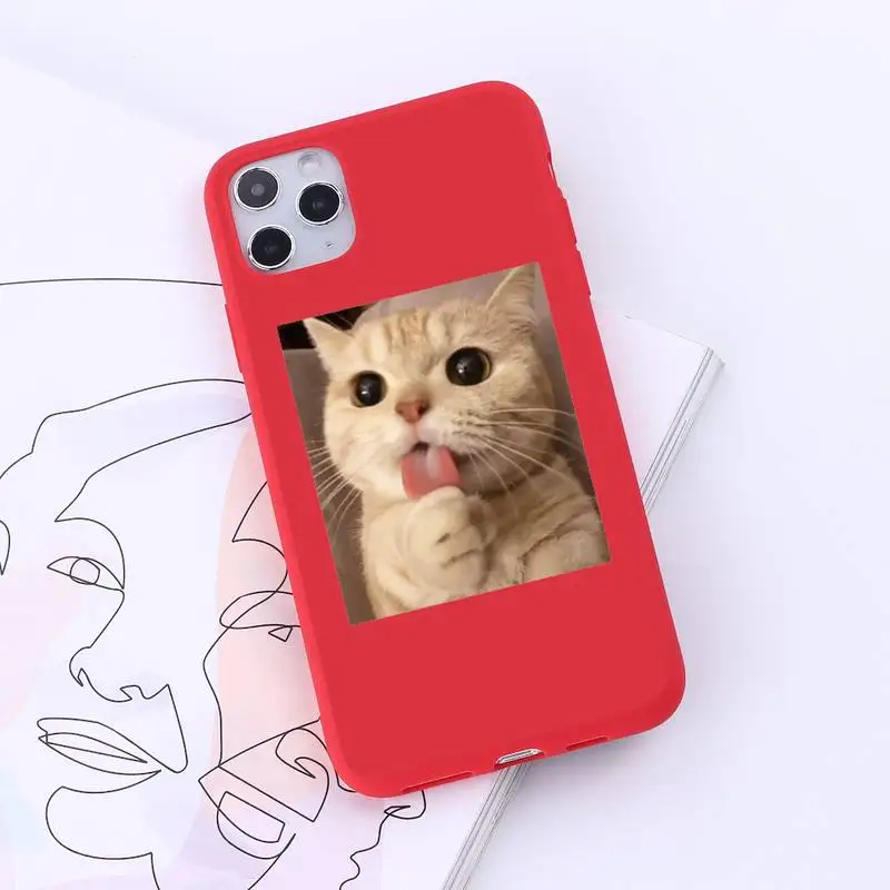 

Cute Cat Phone Case Red Candy Color for iPhone 6 7 8 11 12 s mini pro X XS XR MAX Plus