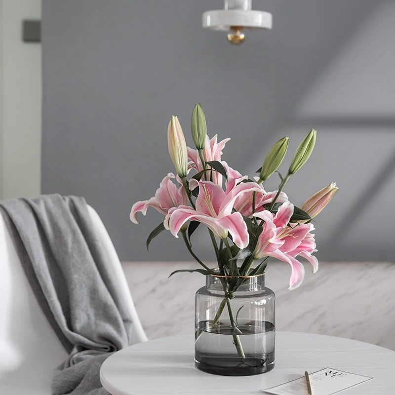 Ваза для цветов Стекло вазы домашний декор Гостиная украшения террариума
