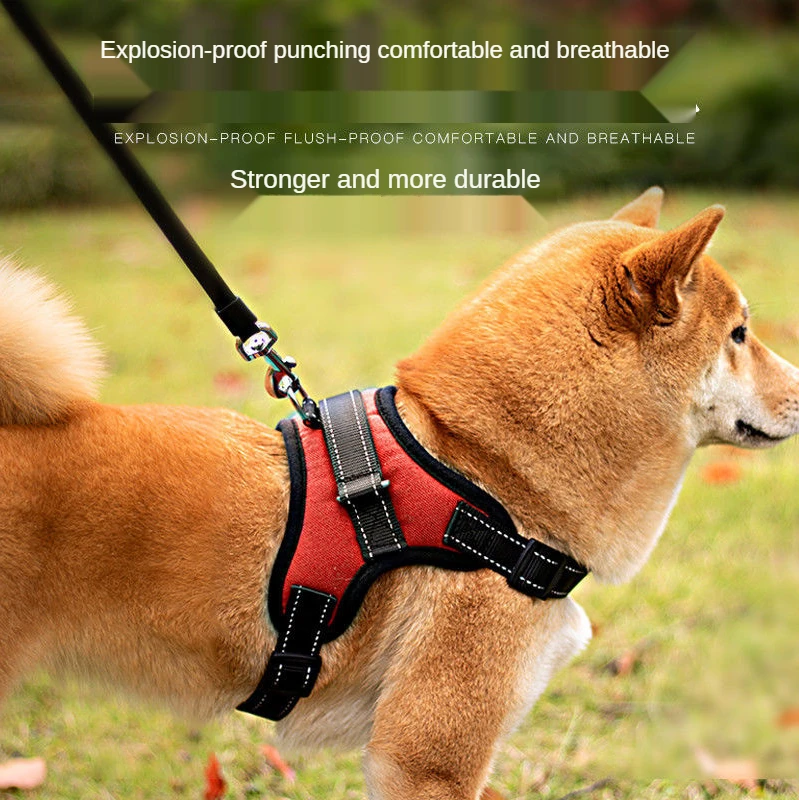 

Шлейка с поводком для собак и кошек, регулируемая Светоотражающая и воздухопроницаемая жилетка для маленьких и больших питомцев