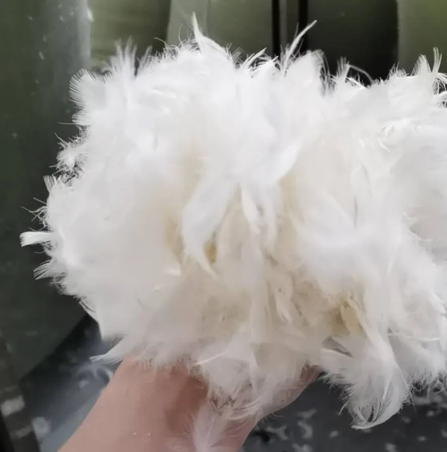 

Entry Luxury 2-4cm White Duck Down Feathers Cushion Insert Core Throw Pillow Core Down Feathers Pillow Filling Downproofness