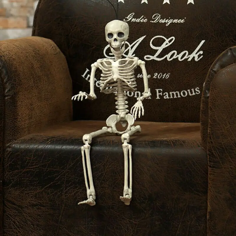 1Pcs Halloween Prop Human Skeleton Full Size Skull Hand Life Body Anatomy Model Decor Miniatures