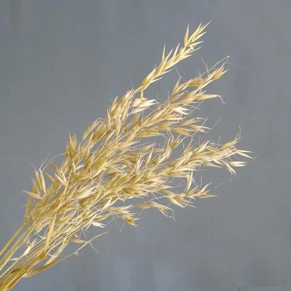 50 шт. сухие букеты из натуральных цветов|natural flower bouquets|flower bouquetdried natural flowers |