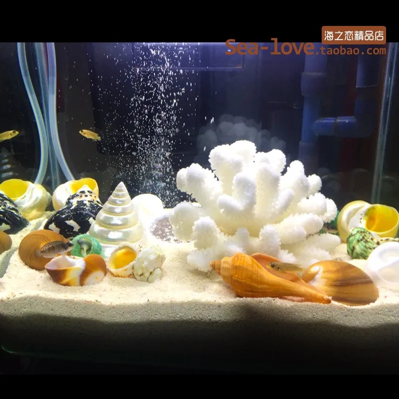 Новинка модное украшение для аквариума из натуральных ракушек красная морская