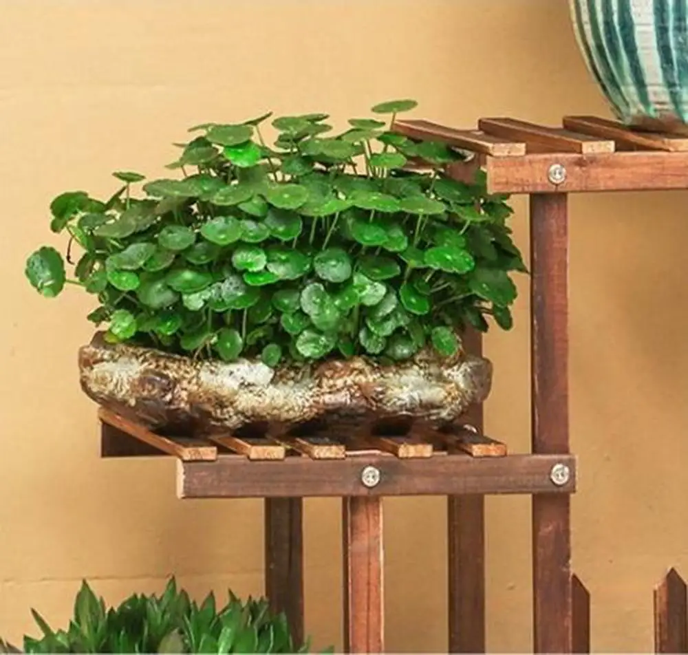 Деревянная стойка для цветов подставка растений много бонсай полка двора сада