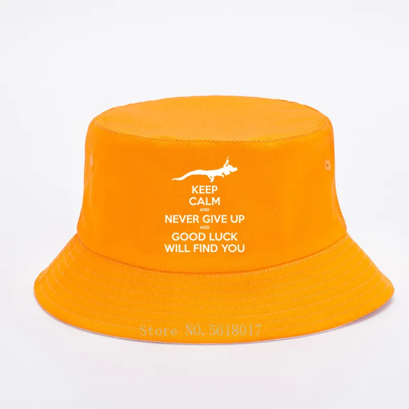 Keep Calm and Never Give Up мужская шляпа-Панама женская уличная Пляжная мода Панама