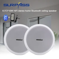Home Smart Bluetooth Speaker Built-in Class D Efficiency In Ceiling Speaker High Fidelity Digital Power Amplifier Loudspeaker