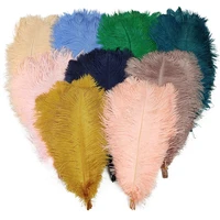 10pcslot colored natural ostrich feathers for crafts white feather table centerpieces plumes carnival wedding party decoration