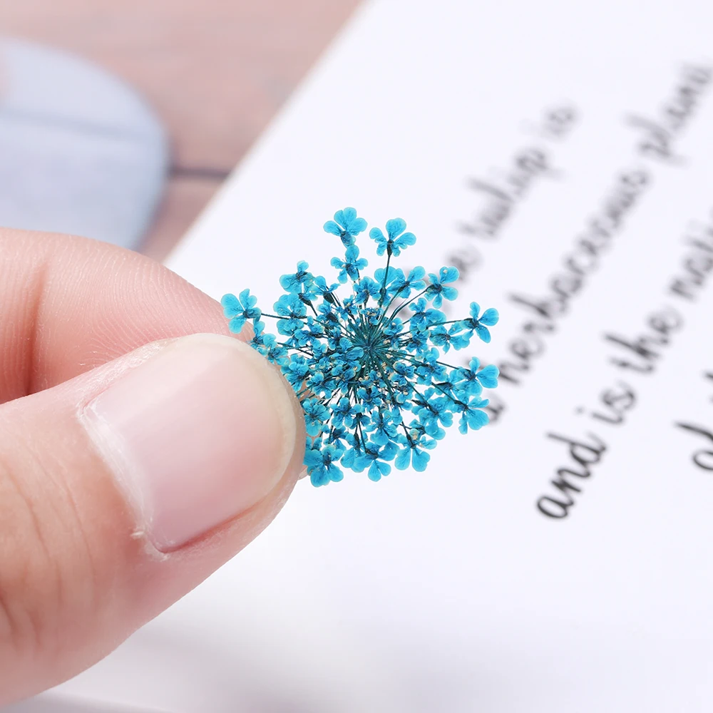 Набор прессованный высушенный для изготовления кулонов ювелирных изделий