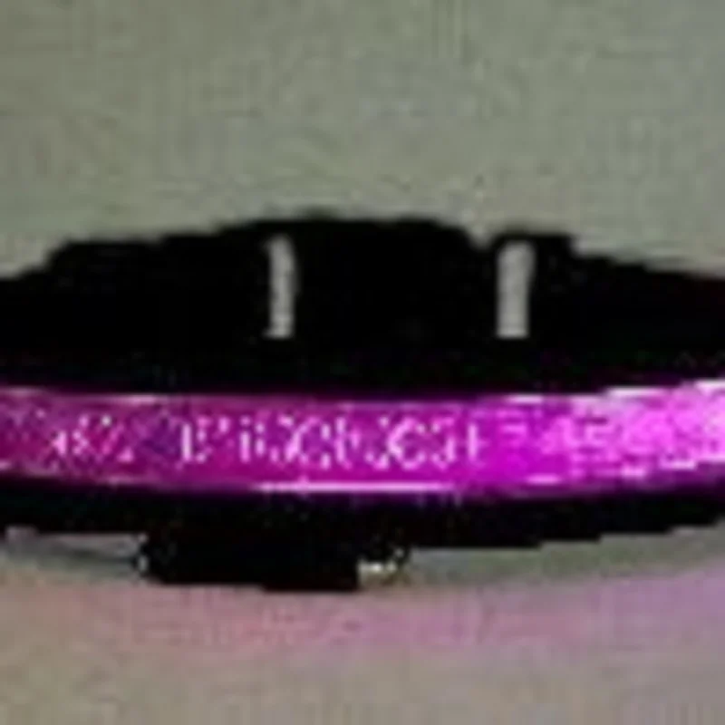 

Led pet luminous collar lettering custom dog neck set flash dog collar pet powder XL