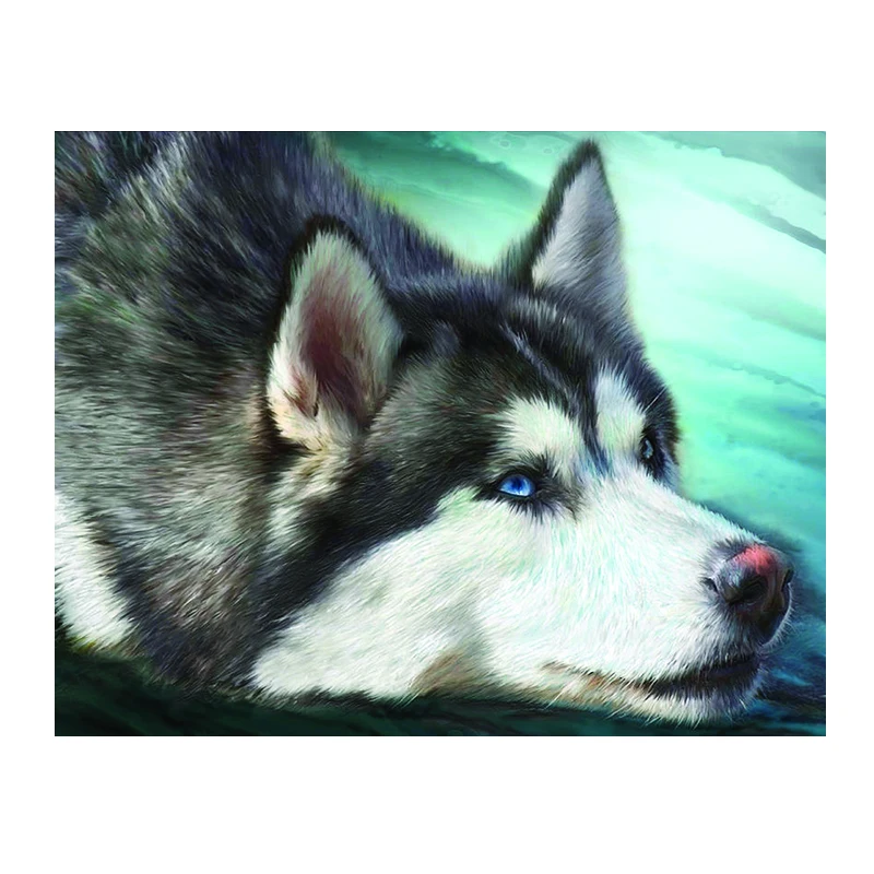 Алмазная вышивка 5D DIY круговая с изображением милой собаки сибирской хаски