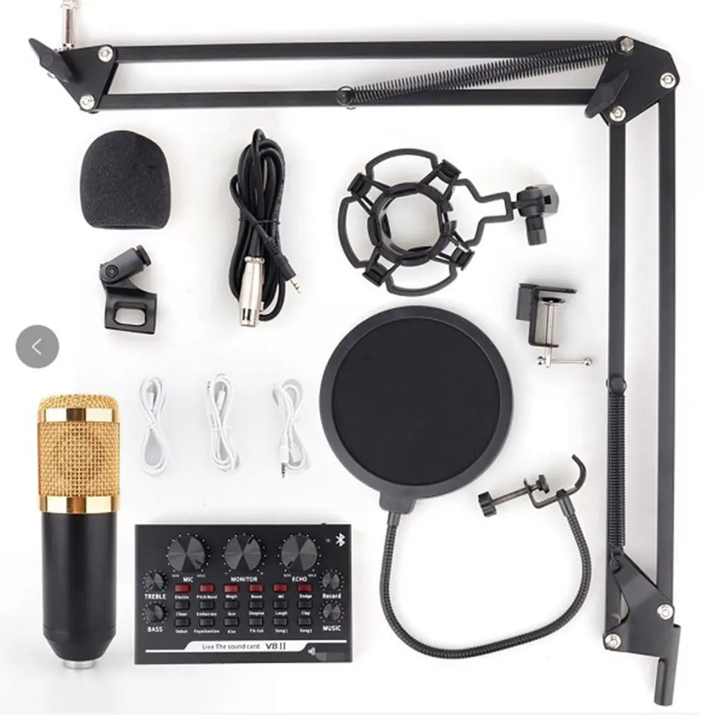 

2021 NEW Black Gold Mesh Large Diaphragm Condenser Microphone For Recording Room KTV Condenser Microphone Kit