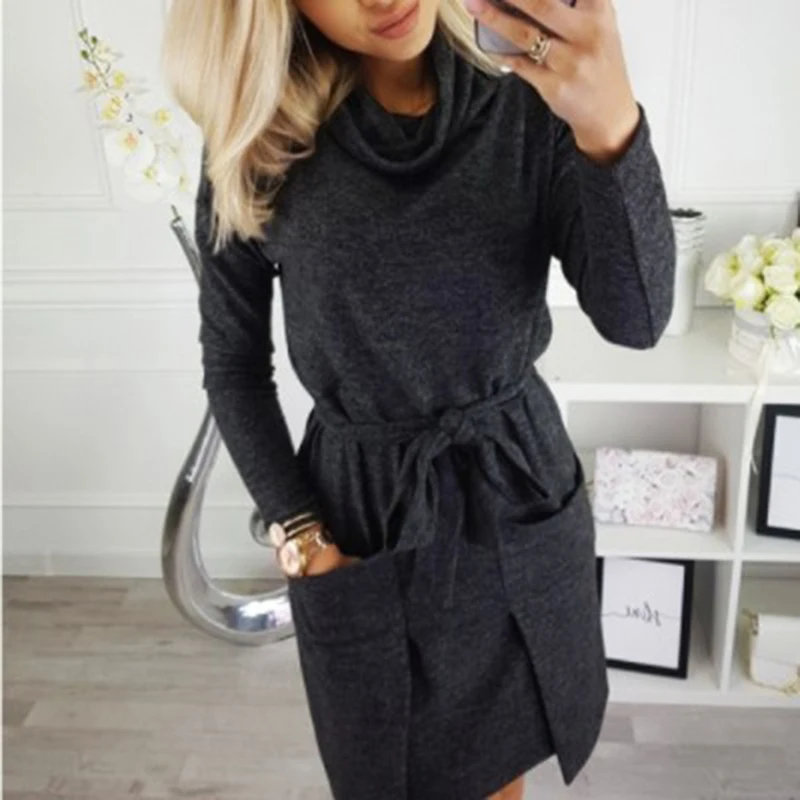 

Women Dresses With Pocket Solid Color Long Sleeve Turtleneck Loose Casual Autumn Winter DressNew