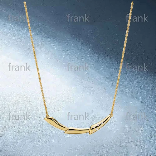 

367958CZ-Shine-Flower-Stem-Necklace