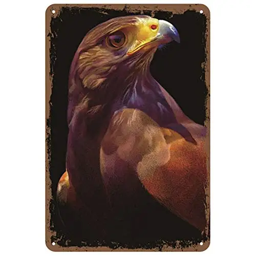 

Eagle Pattern Metal Tin Sign Vintage 8x12 Inches Tin Sign Nostalgic Decor Metal Signs Vintage Bar Decoration Metal Poster Pub Me