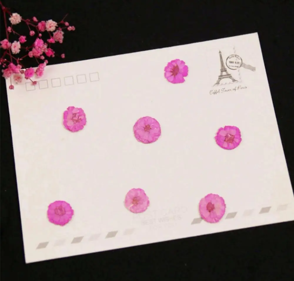 120 шт. цветы Маргаритки для сухих растений эпоксидной смолы подвеска ожерелье