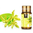 Эфирные масла Pyrrla 5 мл Ylang для увлажнителя воздуха, духов, спа, Ароматический диффузор, масло с ароматом грейпфрута, эвкалипта, цитронеллы