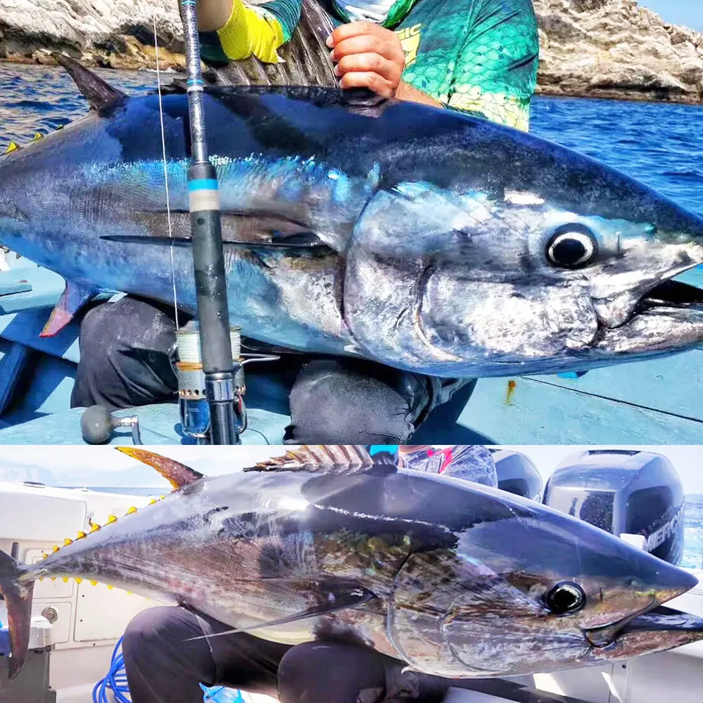 Pesca de Madeira Como Corrico Lápis Nadar Stickbait Isca 65g100g Topwater Wobblers gt Atum Artificial Flutuante Longa Fundição Pesca 8 Como corrico lápis nadar stickbait isca 65g100g