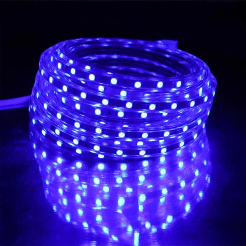 

220V LED Strip Light 5050 LED Ribbon Waterproof IP67 Bright Than 5630 2835 3528 LED Tape White Warm White Red Green Blue