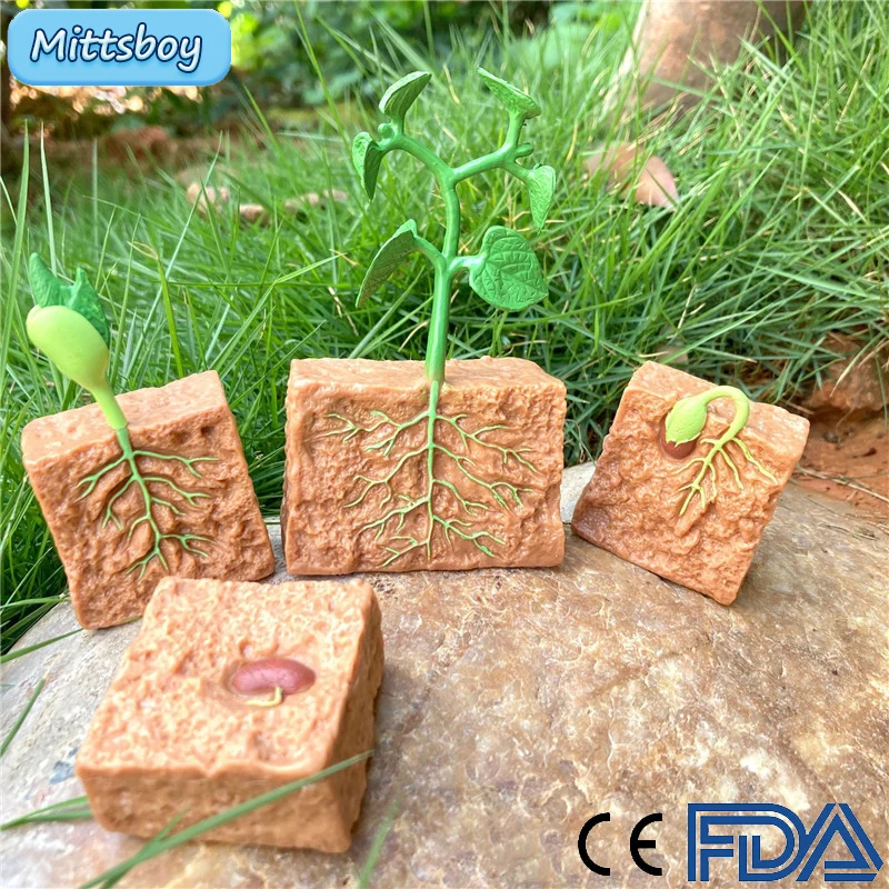 

Моделирование растений, модель процесса роста, детские мини-фигурки животных, соевые бобы, цикл роста комаров, ПВХ экшн-фигурки, игрушки для ...