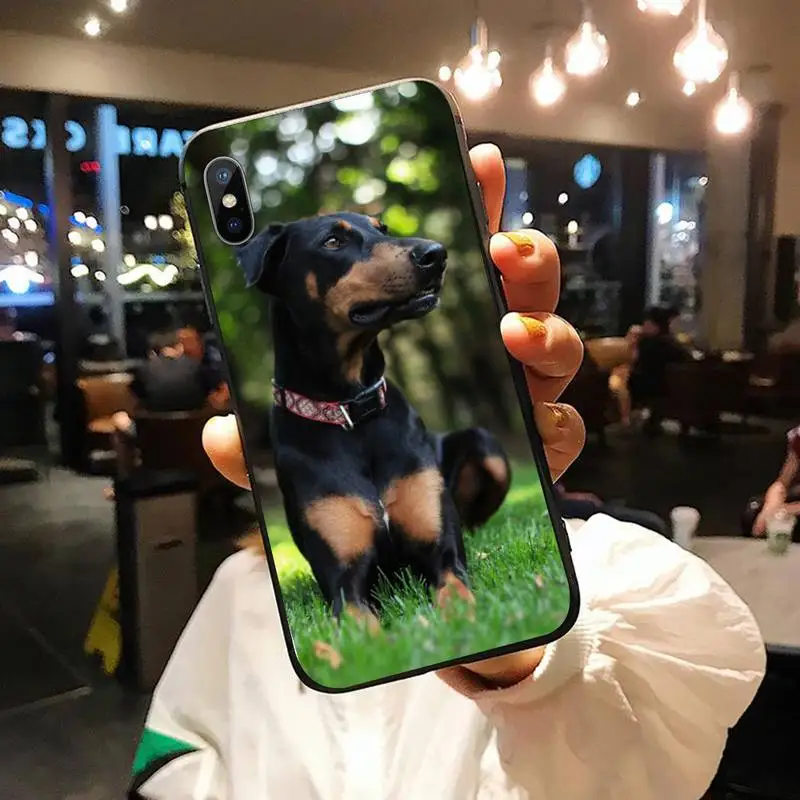 

black Dachshund Doberman Dog Anti-fall luxury Phone Case shell for iPhone 11 12 pro XS MAX 8 7 6 6S Plus X 5S SE 2020 XR