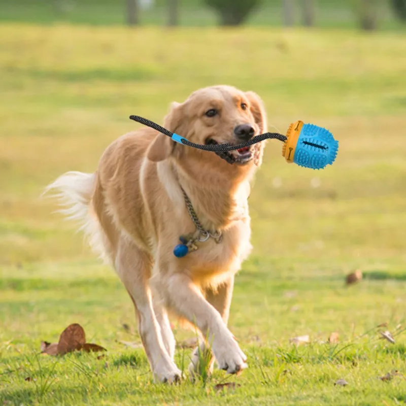 

Dog Chew Toy Pet Dog Sucker Leakage Toy Pet Dog Food Leakage Ball Molar Slow Food Interactive Toy T