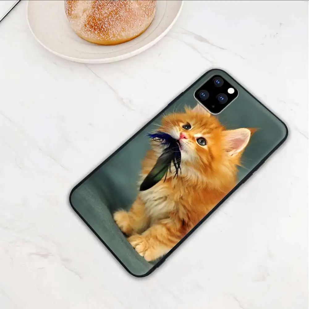 

Designer Maine Coon Cat Telephone Case Cover For Samsung Galaxy A20 E A10 A70 A50 A30 A40 A6 A7 2017 2018 A9 A80