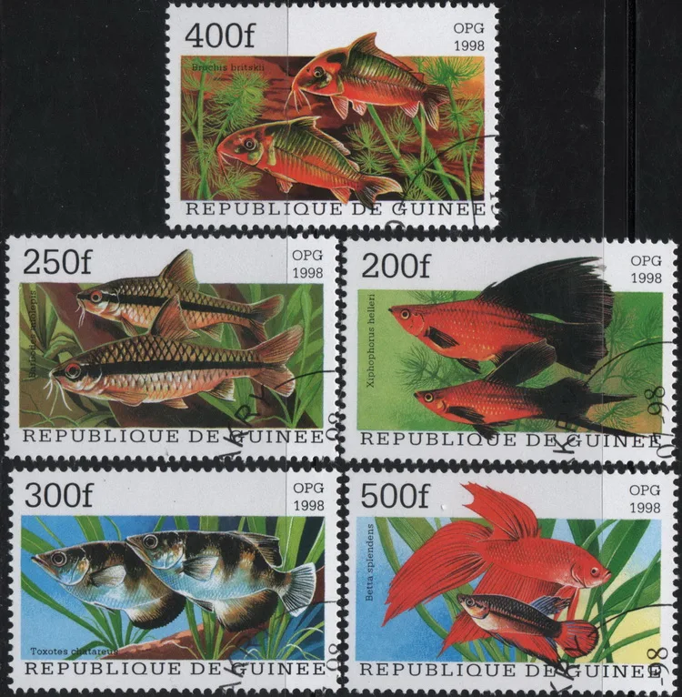 

5 шт./компл. почтовые марки Гвинеи 1998, почтовые марки с тропическими декоративными рыбками для коллекционирования