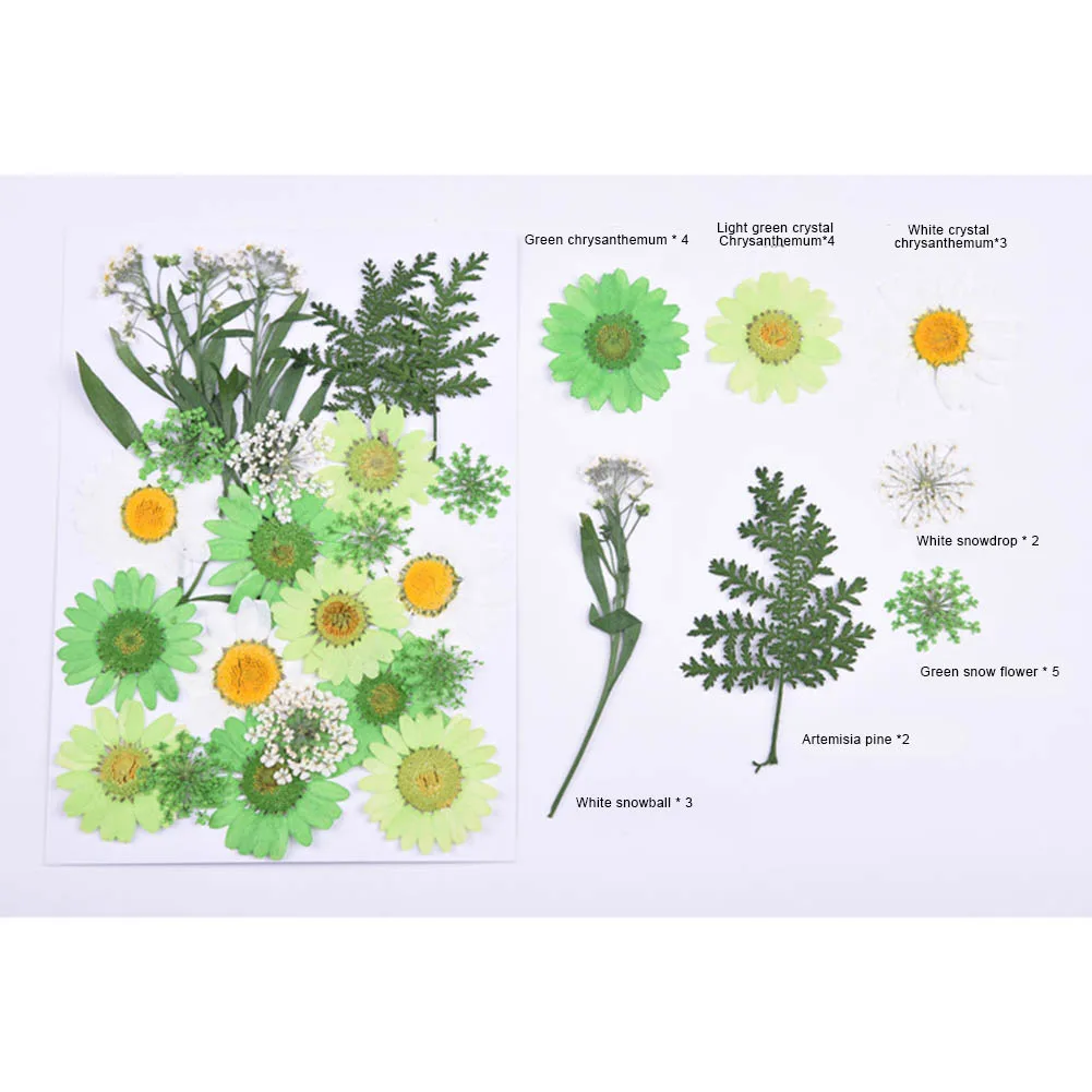 Сушеные цветы с прессованными цветами DIY художественные поделки скрапбукинг