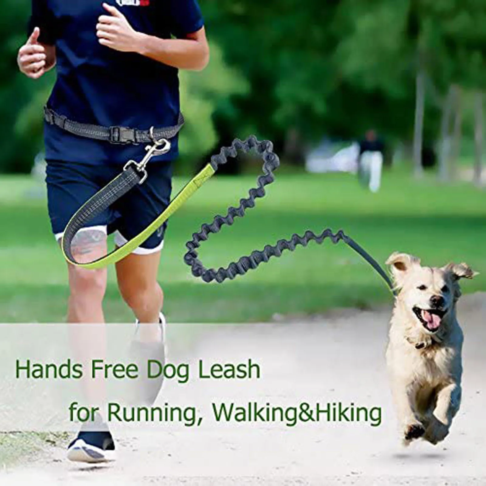 

2021 new reflective traction rope traction rope pet dog running with elastic hand free jogging dog traction rope