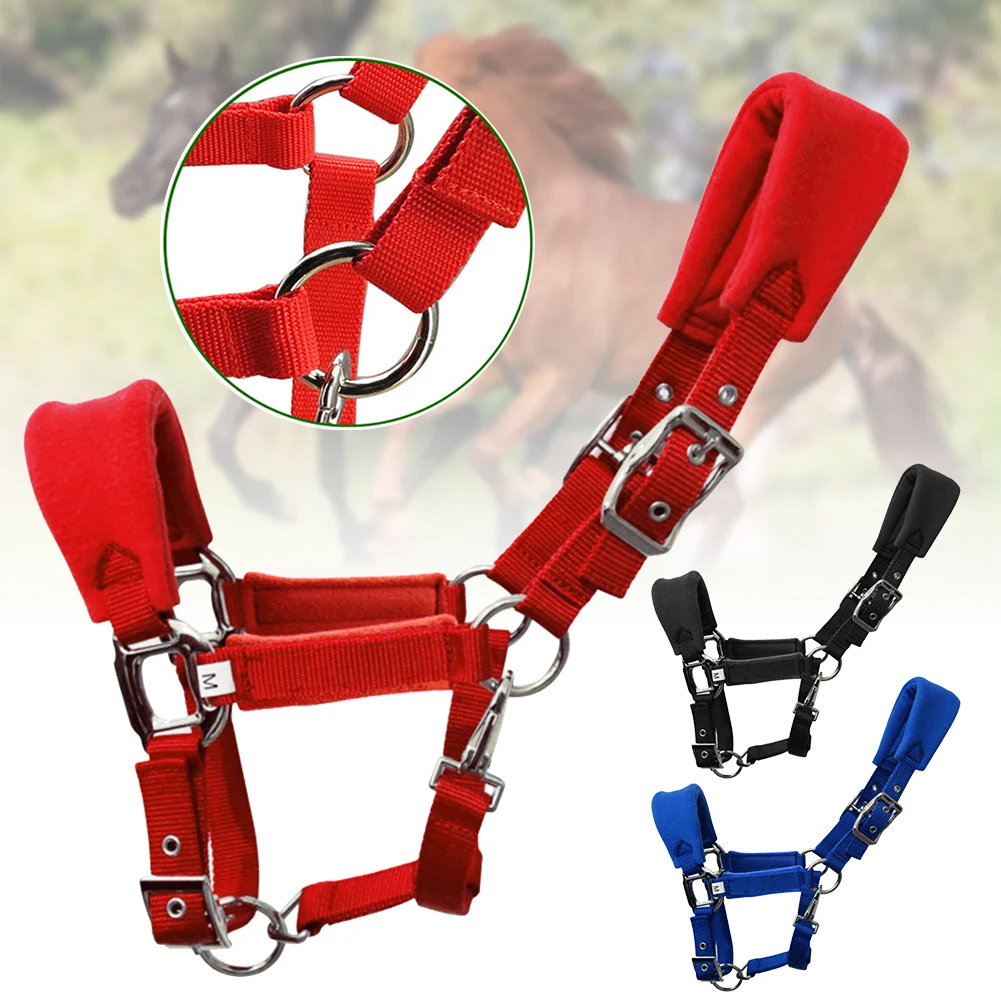 

Horse Halter Riding Equipment Thicken Soft Protective Bridle Adjustable Strap Accessories Outdoor Sports Removable Sponge Pad