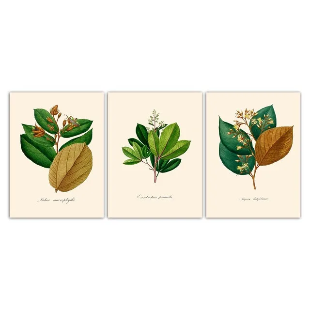 Современный нордический стиль настенная живопись красивая растительная листья