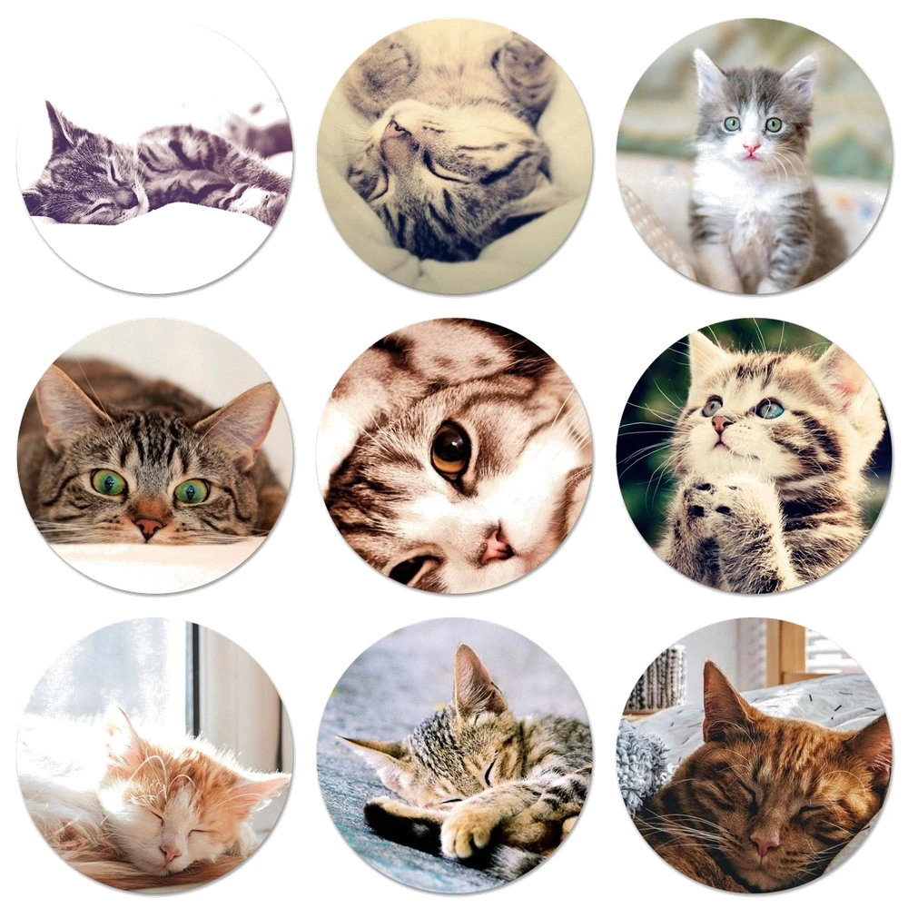 Sleeping Kitten Cat Icons Pins Badge Decoration Brooches Metal Badges For Backpack Decoration