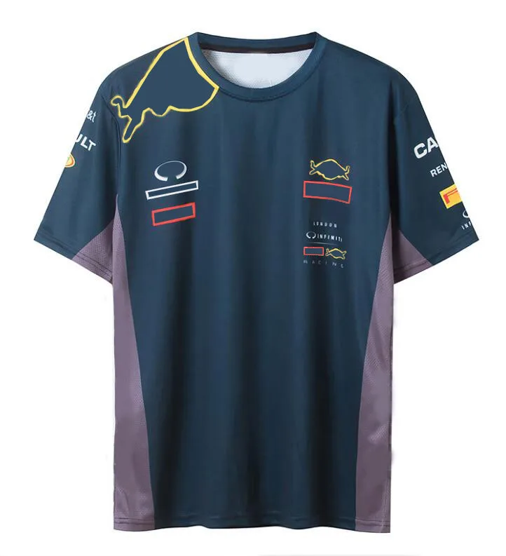 

F1 car short sleeves, F1 team downhill jersey, polyester quick-drying racing T-shirt, the same style is customized