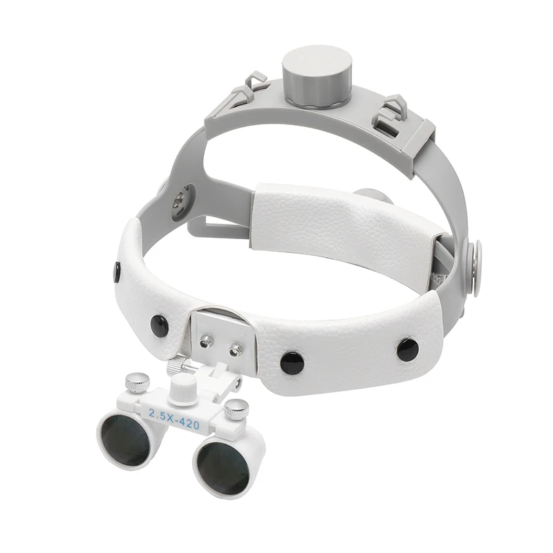 X 420 головная повязка Портативный Стоматологический Хирургический медицинский