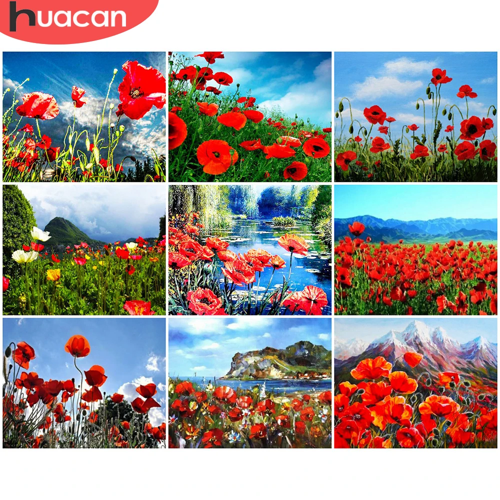 

HUACAN Раскраска по номерам Poppy цветочные наборы для взрослых ручная роспись на холсте DIY живопись по номерам море цветов домашний декор